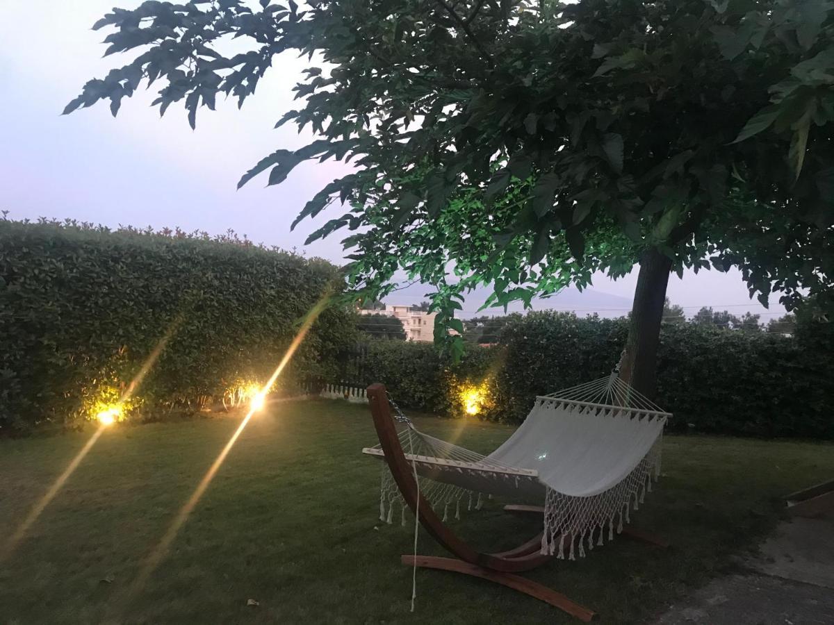Aerides Luxury Villa PalaiónTsiflíkion Eksteriør billede