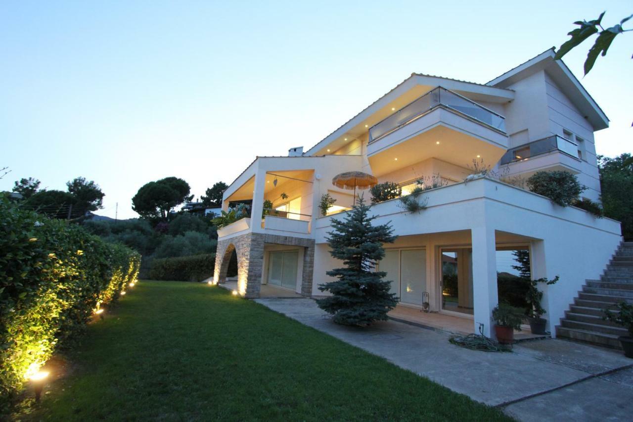Aerides Luxury Villa PalaiónTsiflíkion Eksteriør billede